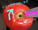 トマトとワカメのさっぱり和え作り方7写真