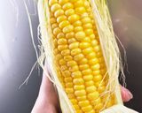 超簡単！！レンチンで蒸しとうもろこし作り方5写真