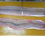 生から焼くうなぎの蒲焼き（ガスグリル）作り方1写真