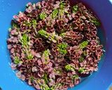 アピオスの花天ぷら作り方1写真