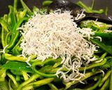 ピーマンとしらすの麺つゆ炒め♪作り方6写真
