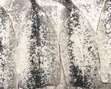 お弁当用☆真いわしのしょうが蒲焼き作り方2写真