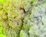 簡単！エビとレンコンの揚げ物作り方9写真