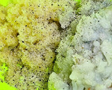 簡単！エビとレンコンの揚げ物作り方9写真