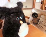 くじら汁作り方1写真