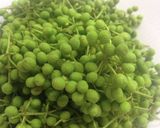 実山椒の醤油漬け作り方1写真