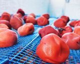 梅干しの作り方 ジップロック作り方9写真