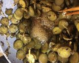 キュウリの佃煮(大葉と生姜入り)作り方7写真