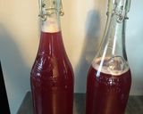 簡単！自家製炭酸ジュース作り方7写真