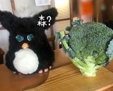 ブロッコリーのからあげ作り方1写真