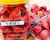 梅干しの作り方　ジップロック作り方12写真