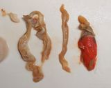 ゴマ油で作るたいらぎ貝の和風オイル漬け！作り方7写真