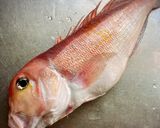 甘鯛の炊き込みご飯作り方1写真