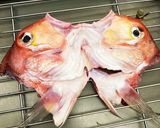 甘鯛の炊き込みご飯作り方4写真