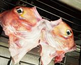 甘鯛の炊き込みご飯作り方5写真