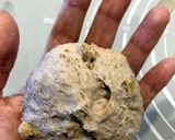 全粒粉のくるみチーズパン作り方9写真