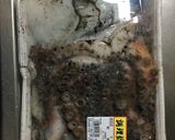 生蛸からの刺身つくり作り方1写真
