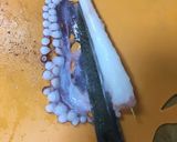 生蛸からの刺身つくり作り方7写真