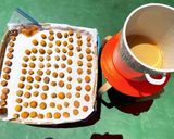 【仕込み】曽我十郎梅の梅干し作り方26写真