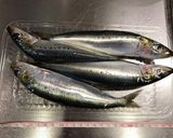 マイワシのソテー・中東風トマトソース作り方1写真