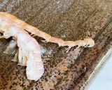 茹でシャコ 蝦蛄 きれいな茹で方 剥き方作り方6写真