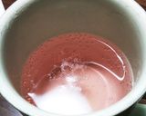 李梅シロップ作り方5写真