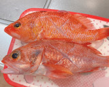 きんめの煮付け♡金目鯛の煮付け魚の煮付け作り方10写真