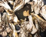 わたしの基本ハンバーグ☆舞茸の和風ソース作り方3写真