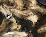 わたしの基本ハンバーグ☆舞茸の和風ソース作り方4写真