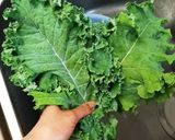 ケールチップス作り方1写真