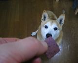 ◆愛犬のおやつ　さつま芋おからクッキー◆作り方8写真