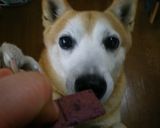 ◆愛犬のおやつ　さつま芋おからクッキー◆作り方9写真
