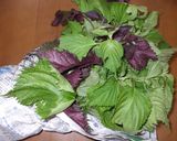 大葉しらすふりかけ♪簡単大葉大量消費作り方1写真