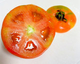 トマトの種を出さない、綺麗な切り方作り方1写真
