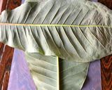 朴の葉飯(ほおのはまま)作り方1写真