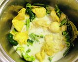鶏胸肉のココナツミルク煮込み作り方11写真