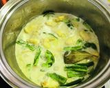 鶏胸肉のココナツミルク煮込み作り方12写真