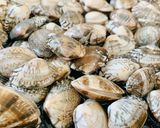 あさりの砂抜きからの酒蒸し作り方4写真