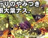 ◆流行りのやみつき無限大葉ナス◆作り置き作り方9写真