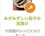 みずみずしい茄子の浅漬け作り方10写真