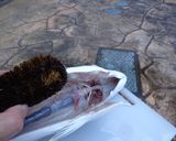 最速のハマチの刺身作り方11写真