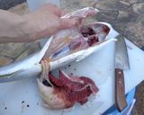 最速のハマチの刺身作り方10写真