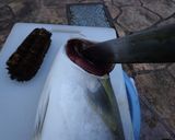 最速のハマチの刺身作り方5写真