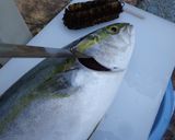 最速のハマチの刺身作り方4写真