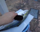 最速のハマチの刺身作り方3写真