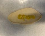 りんごベーグル作り方6写真