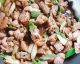 鶏肉と白ネギとトマトのサッパリ煮作り方4写真