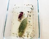 にんじんピクルス★薬膳★スパイス&ハーブ作り方3写真