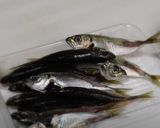 丸ごと食べて！カルシウム♪小あじの唐揚げ作り方1写真
