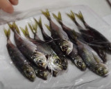 丸ごと食べて！カルシウム♪小あじの唐揚げ作り方3写真